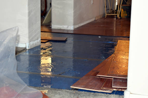 Professional Burst Pipe Cleanup technician working in Middlesex, NJ